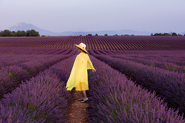 Image showing asian woman in yellow dress and hat at lavender field