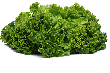 Image showing Green lettuce