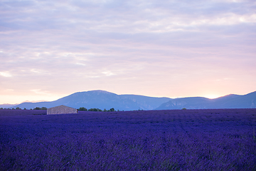 Image showing stone house at lavender field