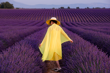 Image showing asian woman in yellow dress and hat at lavender field