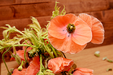 Image showing Pink poppy among tangled foliage and flowers