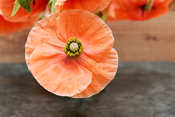 Image showing Poppy flower with pollen-laden stamen