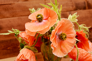 Image showing Pale pink poppies picked from the garden