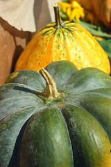 Image showing Fancy pumpkins