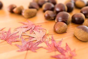 Image showing Chestnuts and maple leaves