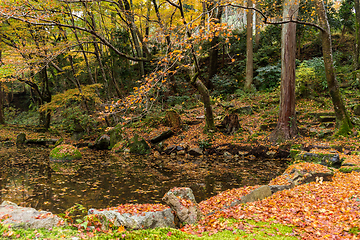 Image showing Autumn garden