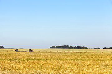 Image showing haystack in the field