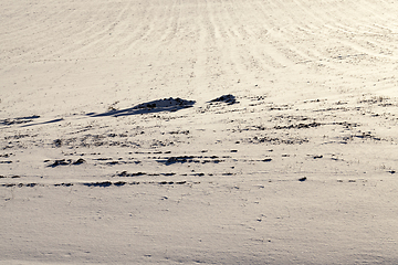 Image showing Snow surface, winter