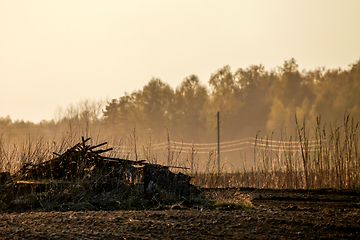 Image showing Fog on plowed field in spring season.