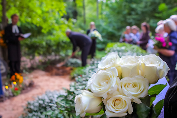 Image showing White roses at funeral near the grave.