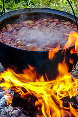 Image showing Cooking soup in a pot on campfire.