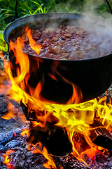 Image showing Cooking soup in a pot on campfire.