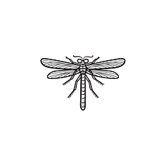 Image showing Dragonfly hand drawn sketch icon.