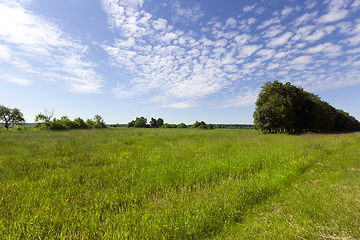 Image showing Beautiful meadow