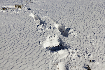 Image showing Snow surface, winter