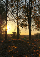 Image showing Sunset, autumn