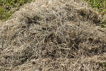 Image showing mowing of grass on meadows