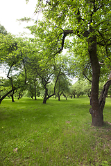 Image showing spring Park