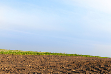 Image showing ploughed field