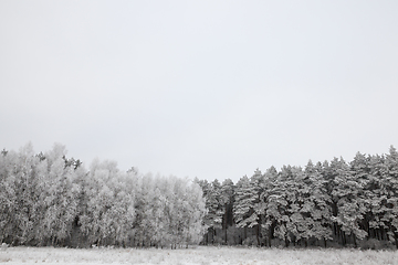 Image showing Winter time