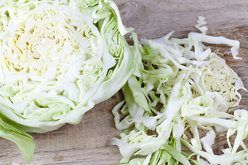 Image showing organic cabbage