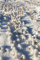 Image showing Snow drifts in winter