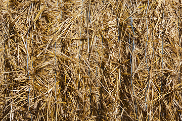 Image showing straw linked, close up