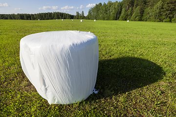 Image showing Plastic stack