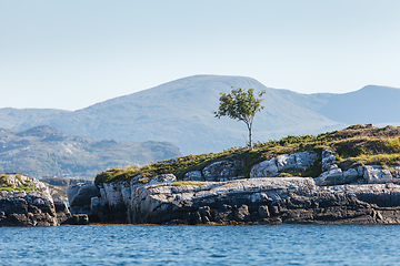 Image showing Beautiful view on norwegian fjords