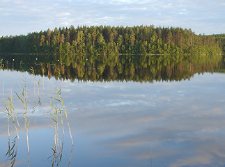 Image showing Forest lake