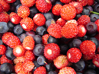 Image showing Forest berries