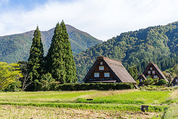 Image showing Traditional Japanese Shirakawago village 