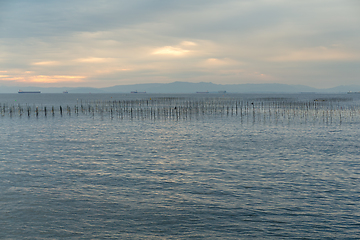 Image showing Fish farm