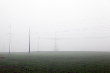 Image showing electric poles in the mist