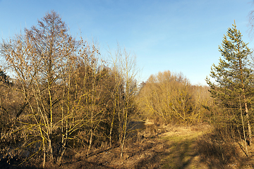 Image showing River in February