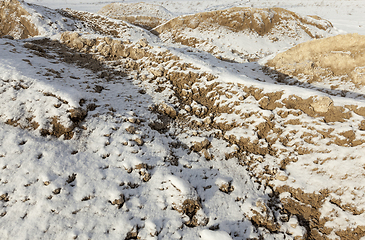 Image showing Sand under snow