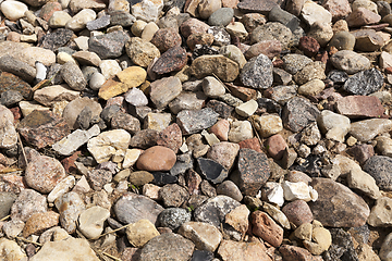 Image showing Small gravel, close-up