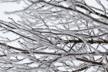 Image showing Snow drifts in winter