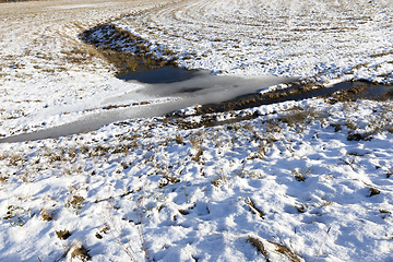 Image showing Snow after snowfall