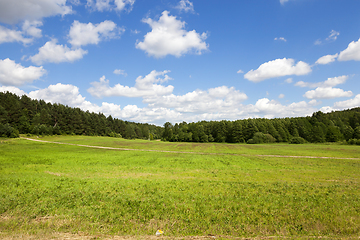 Image showing summer sunny day