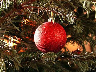 Image showing Christmas tree