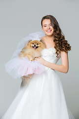 Image showing beautiful bride girl with spitz bride on gray background