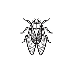 Image showing Fly hand drawn sketch icon.