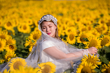 Image showing asian woman at sunflower field