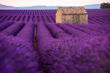 Image showing stone house at lavender field