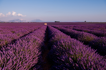 Image showing stone house at lavender field