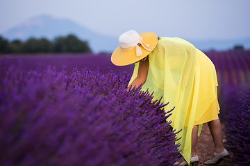 Image showing asian woman in yellow dress and hat at lavender field