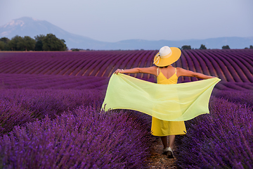 Image showing asian woman in yellow dress and hat at lavender field