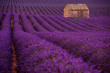 Image showing stone house at lavender field