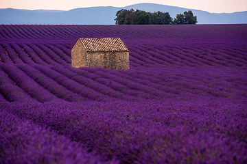 Image showing stone house at lavender field